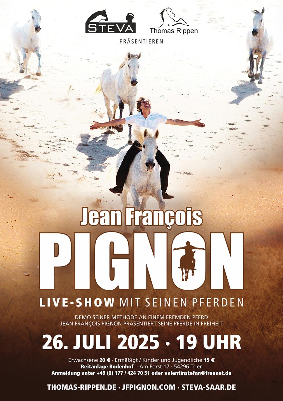 pignon